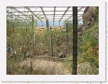Dierentuin Burgers  Zoo 088 * 3648 x 2736 * (6.44MB)